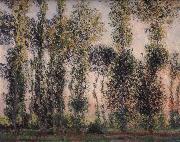 Claude Monet Poplars at Giverny Spain oil painting artist
